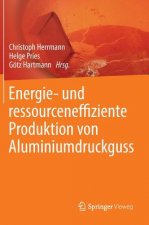 Energie- Und Ressourceneffiziente Produktion Von Aluminiumdruckguss