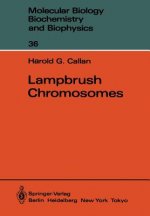 Lampbrush Chromosomes