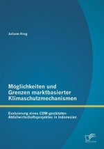 Moeglichkeiten und Grenzen marktbasierter Klimaschutzmechanismen