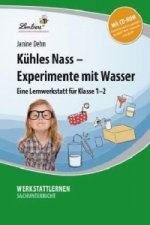 Kühles Nass - Experimente mit Wasser, m. 1 CD-ROM