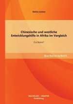 Chinesische und westliche Entwicklungshilfe in Afrika im Vergleich