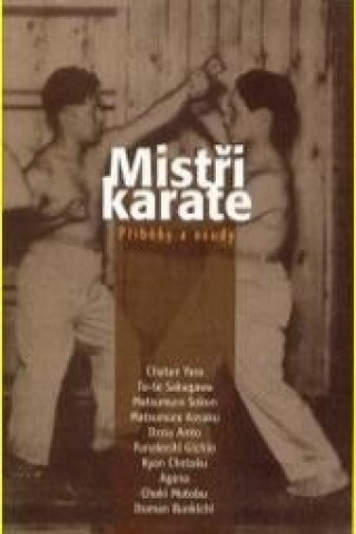 Mistři karate