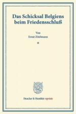 Das Schicksal Belgiens beim Friedensschluß.