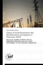 Choix D Investissement Des Distributeurs Europeens A l'Horizon 2030