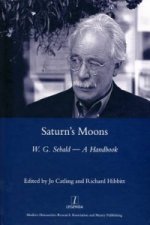 Saturn's Moons