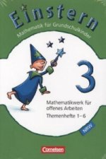 Einstern - Mathematik - Nordrhein-Westfalen 2013 - Band 3. Themenh.1-6