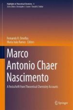 Marco Antonio Chaer Nascimento