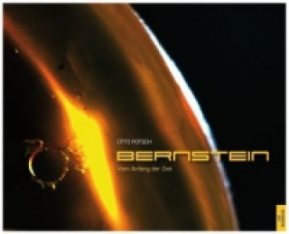 Bernstein - vom Anfang der Zeit, m. Audio-CD