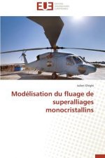 Mod lisation Du Fluage de Superalliages Monocristallins