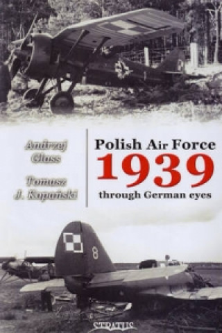 Polish Air Force 1939 Through German Eyes
