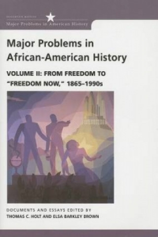 Major Problems in African American History