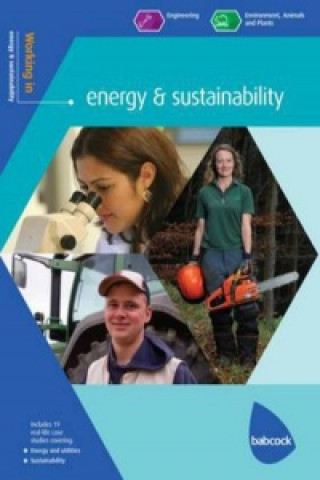 Working in Energy & Sustainability