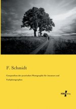 Compendium der practischen Photographie fur Amateure und Fachphotographen