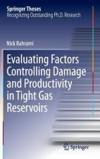 Evaluating Factors Controlling Damage and Productivity in Tight Gas Reservoirs