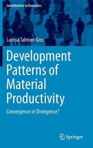 Development Patterns of Material Productivity
