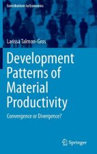Development Patterns of Material Productivity