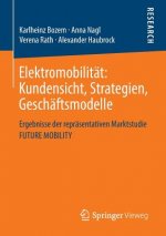 Elektromobilitat: Kundensicht, Strategien, Geschaftsmodelle