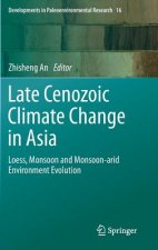 Late Cenozoic Climate Change in Asia