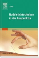 Nadelstichtechniken in der Akupunktur