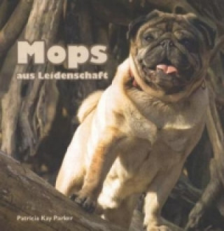 Mops aus Leidenschaft