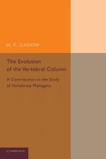 Evolution of the Vertebral Column