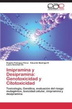 Imipramina y Desipramina