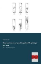 Untersuchungen zur physiologischen Morphologie der Tiere. Tl.1