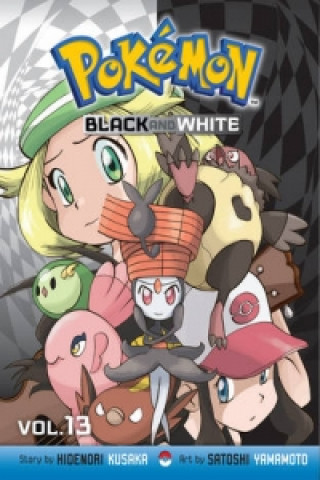 Pokemon Black and White, Vol. 13