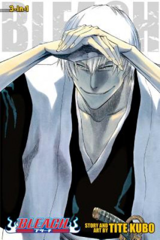 Bleach (3-in-1 Edition), Vol. 7