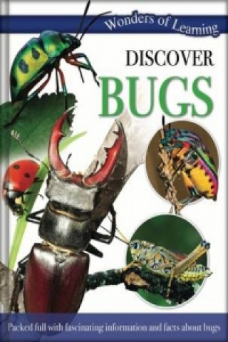 Wonders of Learning: Discover Bugs