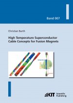 High Temperature Superconductor Cable Concepts for Fusion Magnets
