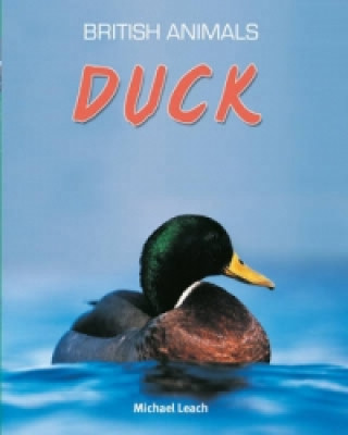 British Animals: Duck