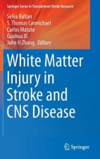 White Matter Injury in Stroke and CNS Disease