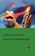 Reise nach der Magellanstrasse