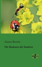 Baukunst der Insekten