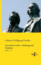 Aus meinem Leben - Dichtung und Wahrheit