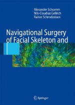 Navigational Surgery of the Facial Skeleton and Skull Base