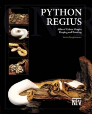 Python Regius, English Edition