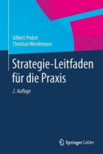 Strategie-Leitfaden fur die Praxis