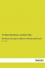 Die Konservierung des Holzes in Theorie und Praxis. Tl.2