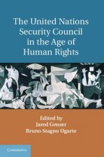 United Nations Security Council in the Age of Human Rights