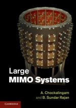 Large MIMO Systems