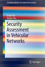 Security Assessment in Vehicular Networks