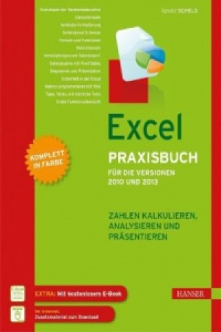 Excel Praxisbuch für die Versionen 2010 und 2013