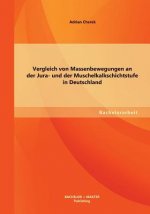 Vergleich von Massenbewegungen an der Jura- und der Muschelkalkschichtstufe in Deutschland