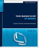 Basics of IT Audit