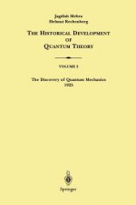 Discovery of Quantum Mechanics 1925