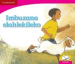 Imbuzana elahlekileko (IsiNdebele)