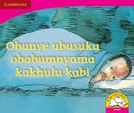 Obunye ubusuku obabumnyama kakhulu kabi (IsiZulu)