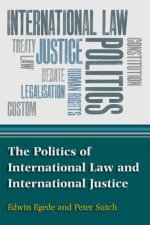 Politics of International Law and International Justice